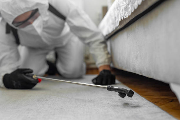 Professional Termite Control technician working in Eatons Neck, NY