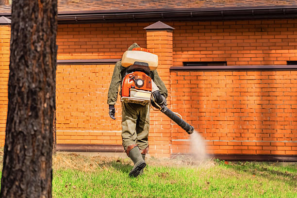 Trusted Mosquito Control service in Eatons Neck, NY - Nex Pest Control
